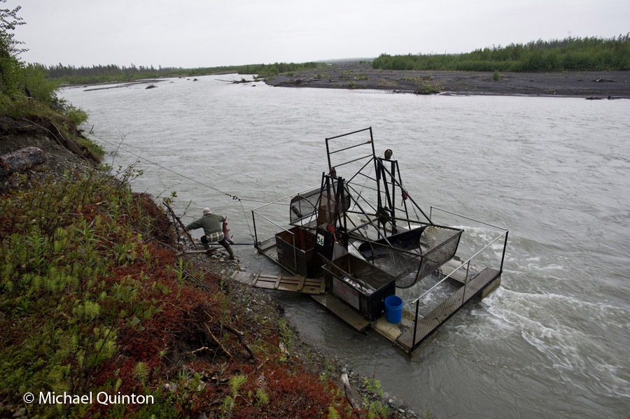 COPPER RIVER FISH WHEEL  JOURNAL OF A WILDLIFE PHOTOGRAPHER